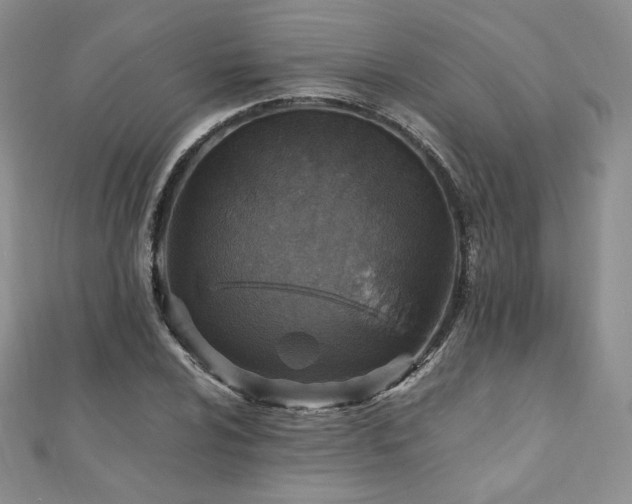 X0000110891024200906181241