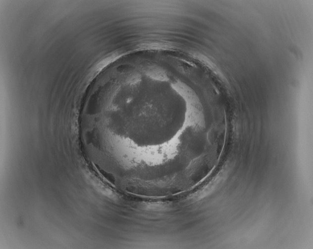X0000110891025200906181241