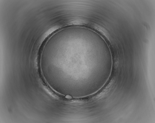 X0000110891026200906181241