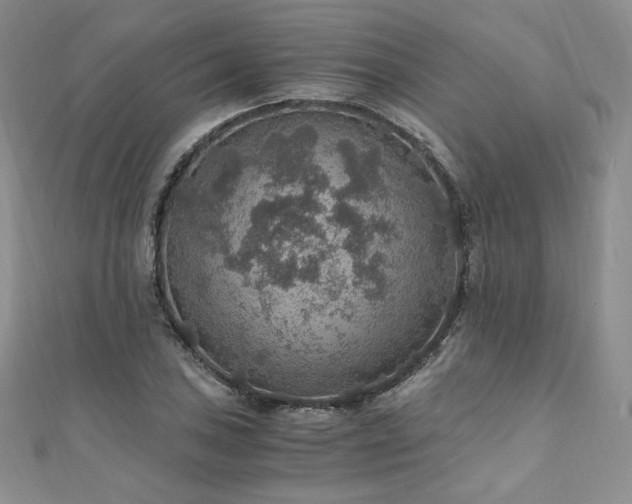 X0000110891027200906181241