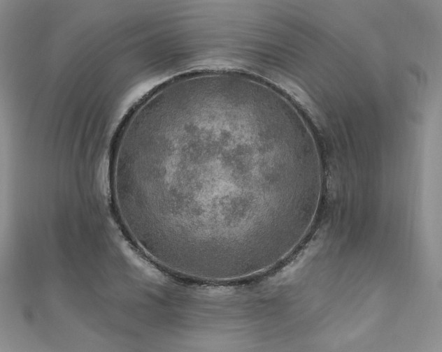 X0000110891030200906181241