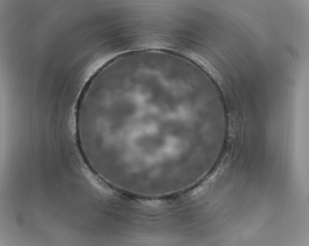 X0000110891031200906181241