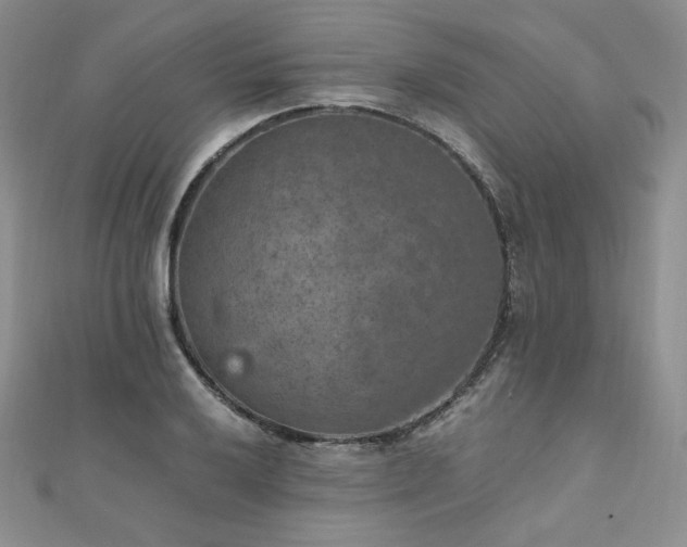 X0000110891032200906181241