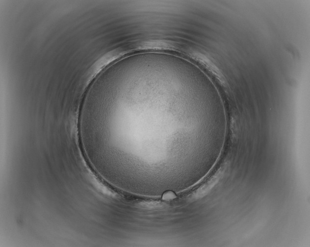 X0000110891033200906181241