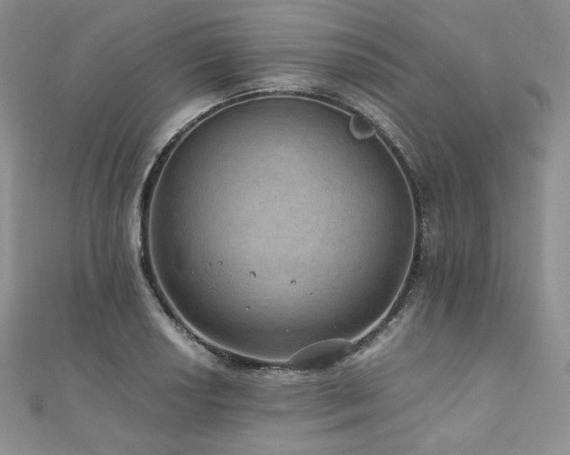 X0000110891034200906181241