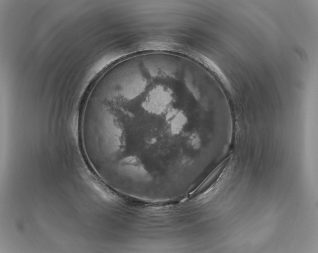 X0000110891035200906181241