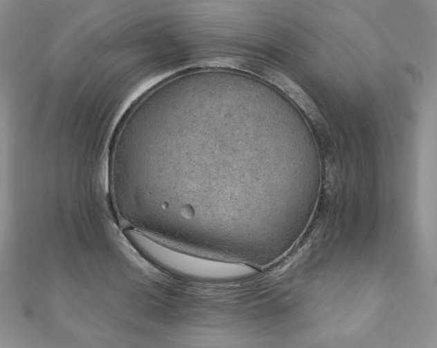 X0000110891036200906181241