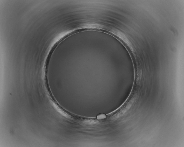 X0000110891037200906181241