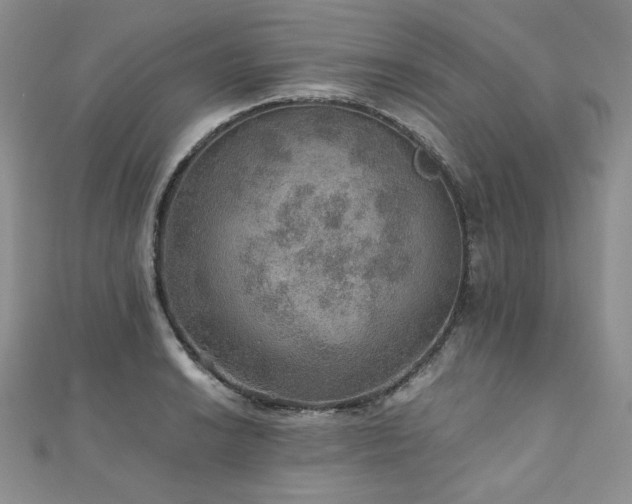 X0000110891038200906181241