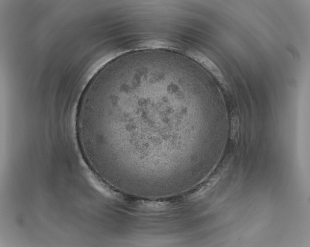 X0000110891039200906181241