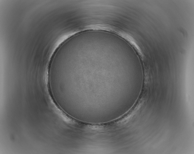 X0000110891040200906181241