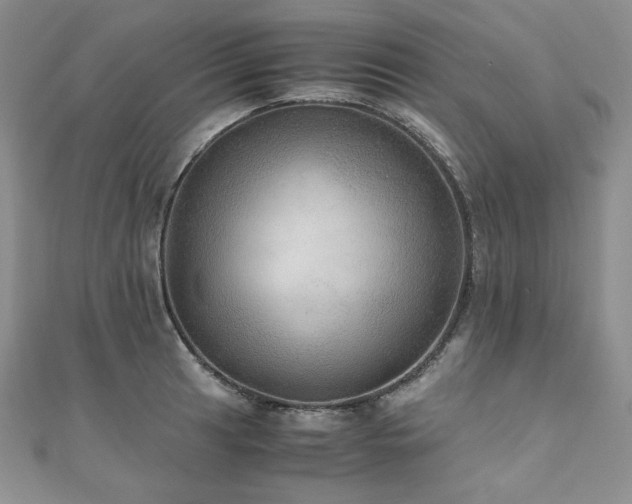 X0000110891041200906181241