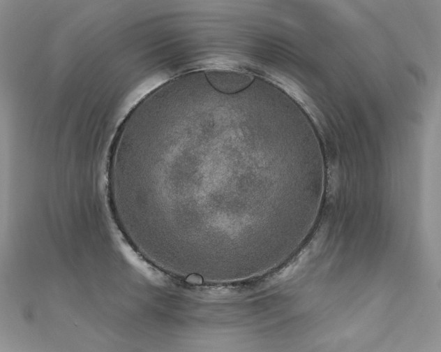 X0000110891042200906181241