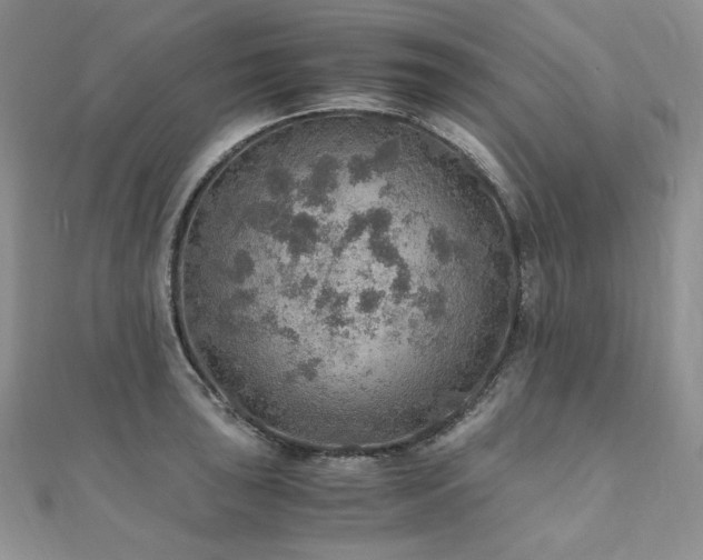 X0000110891043200906181241