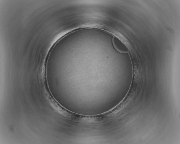 X0000110891044200906181242