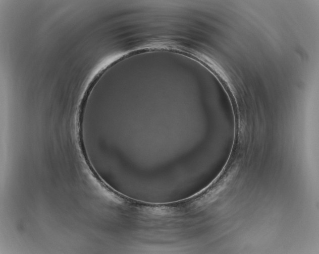 X0000110891045200906181242
