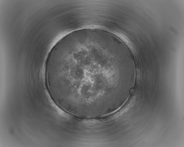 X0000110891046200906181242