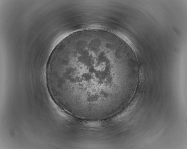 X0000110891047200906181242