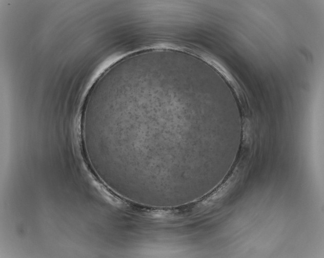 X0000110891048200906181242