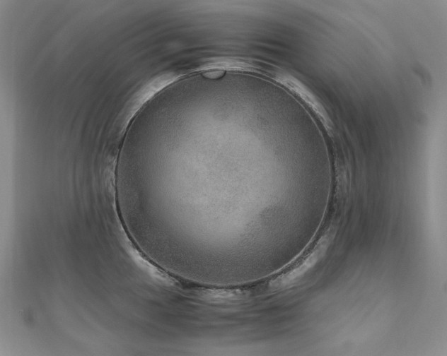 X0000110891049200906181242