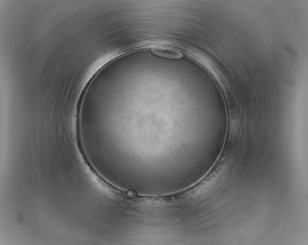 X0000110891050200906181242