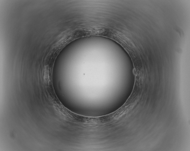 X0000110891058200906181241