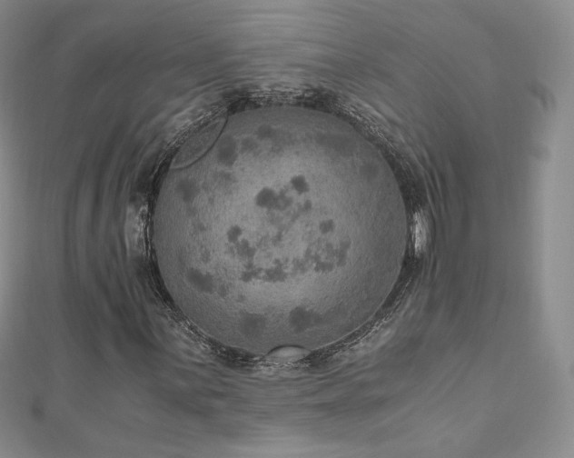 X0000110891059200906181241