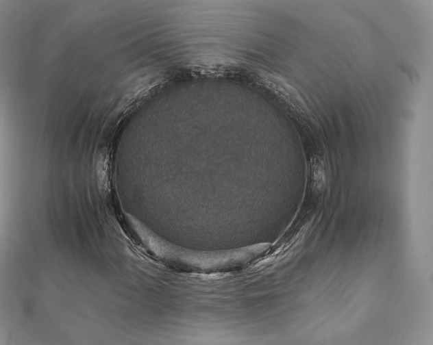 X0000110891060200906181241