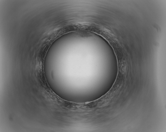 X0000110891061200906181241