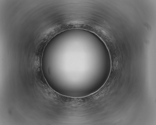 X0000110891062200906181241
