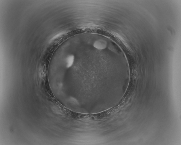 X0000110891063200906181241