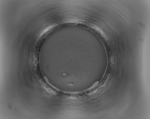 X0000110891064200906181241