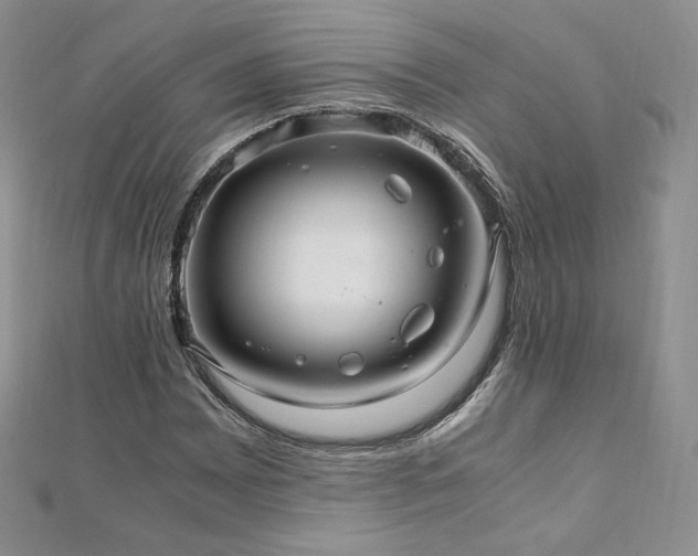 X0000110891065200906181241