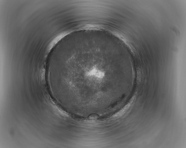 X0000110891066200906181241