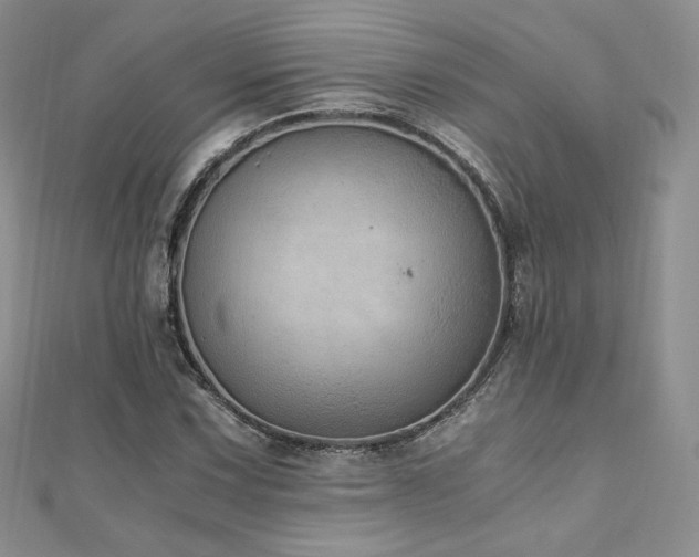 X0000110891067200906181241