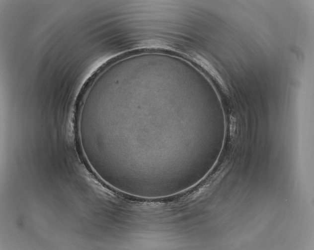 X0000110891068200906181241