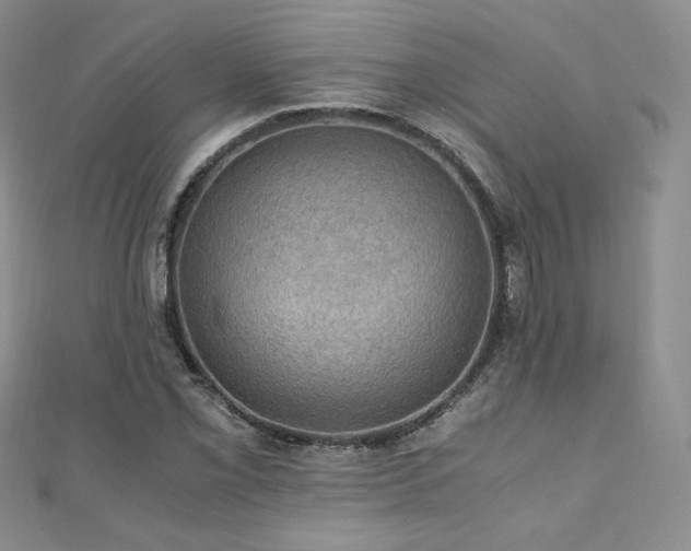 X0000110891069200906181241