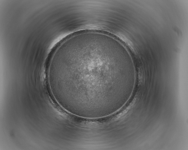 X0000110891070200906181241