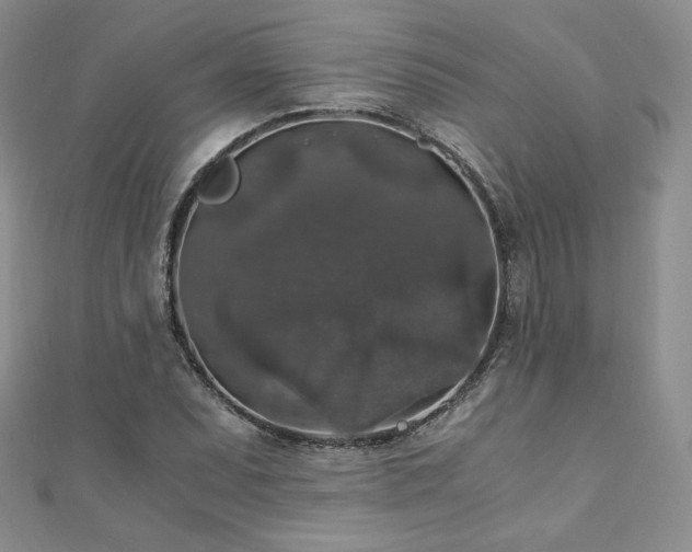 X0000110891071200906181241