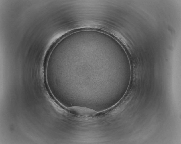 X0000110891072200906181241