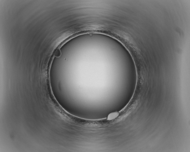 X0000110891073200906181241