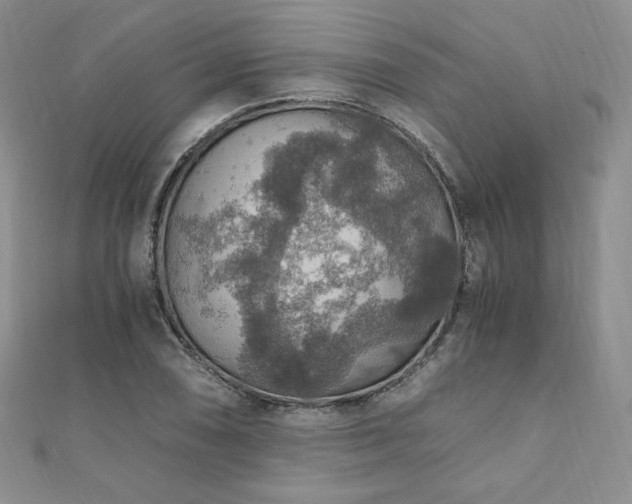 X0000110891074200906181241