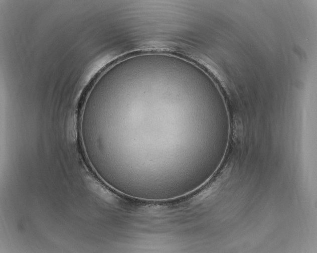 X0000110891075200906181241