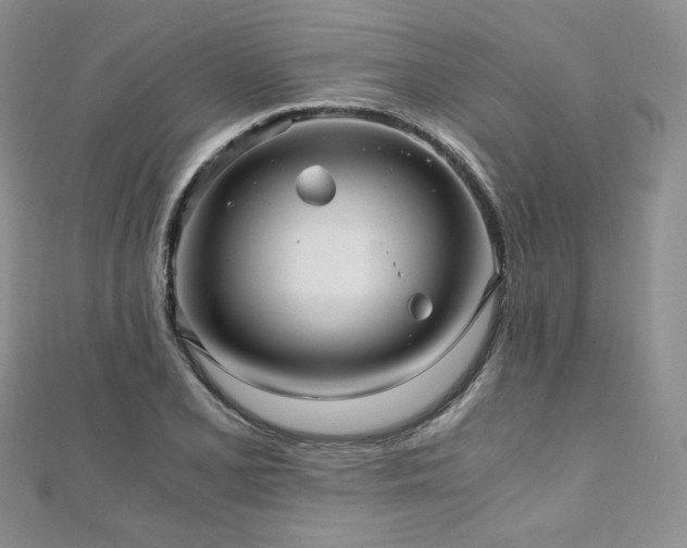 X0000110891077200906181241