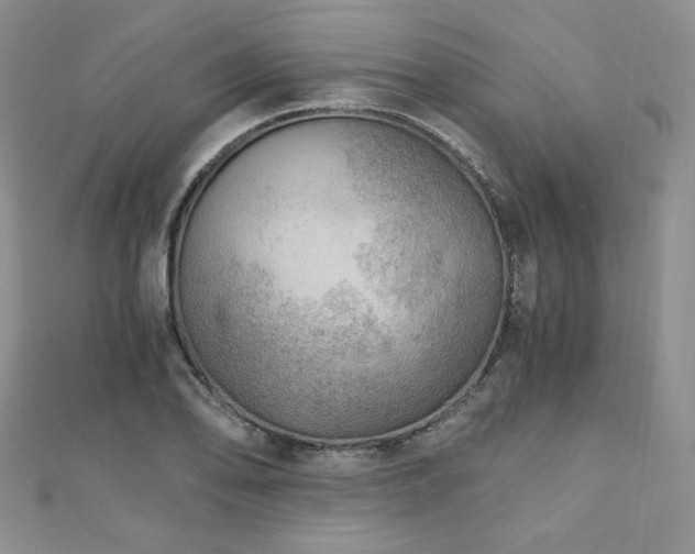 X0000110891078200906181241
