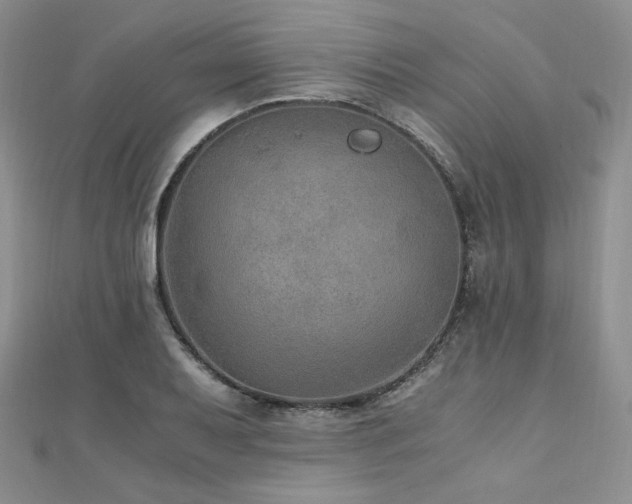X0000110891079200906181241