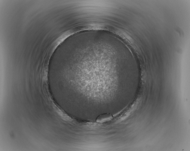 X0000110891081200906181241