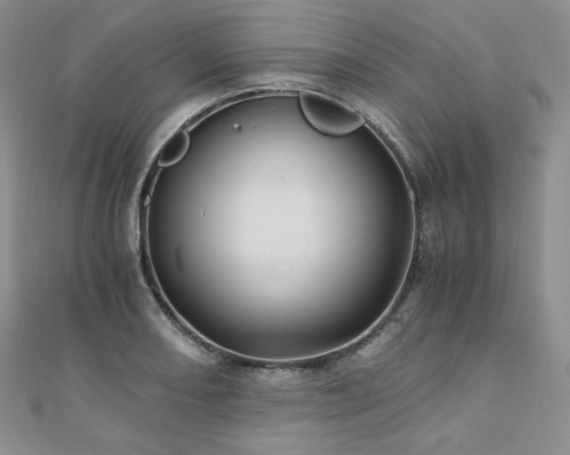 X0000110891082200906181241