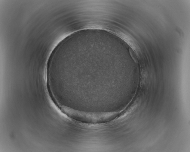 X0000110891084200906181241