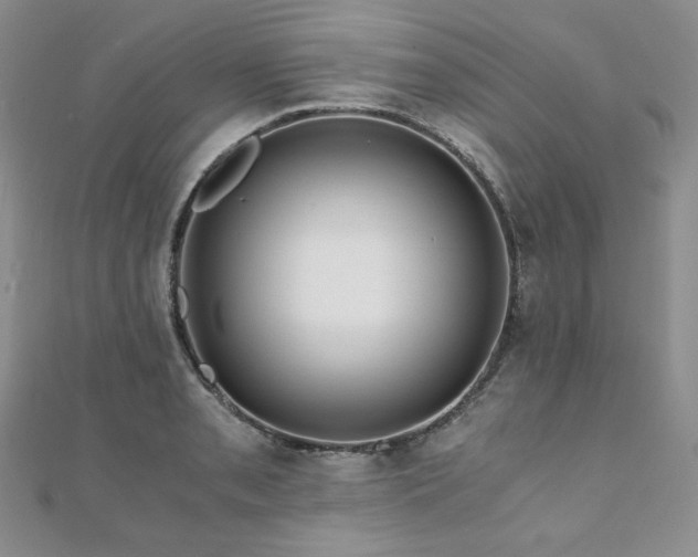 X0000110891085200906181241